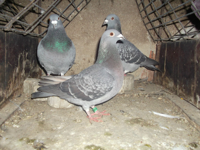 DSCF0612