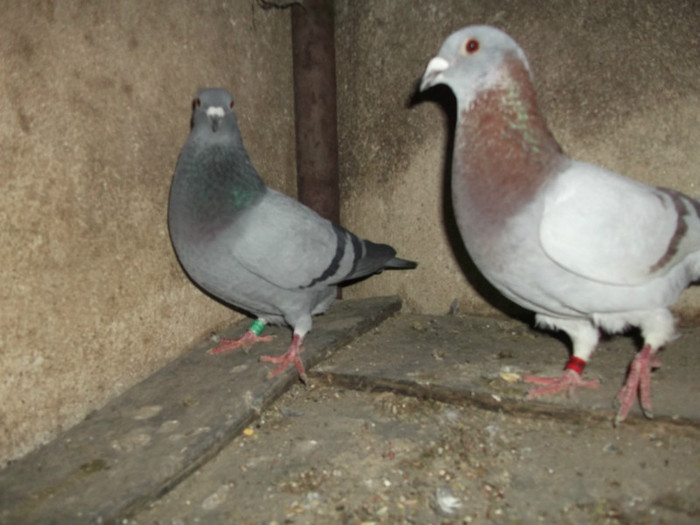 DSCF0625
