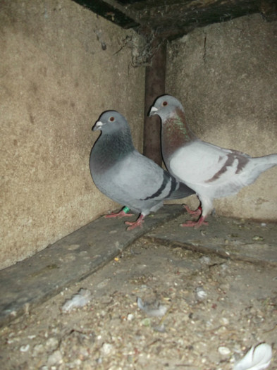 DSCF0627
