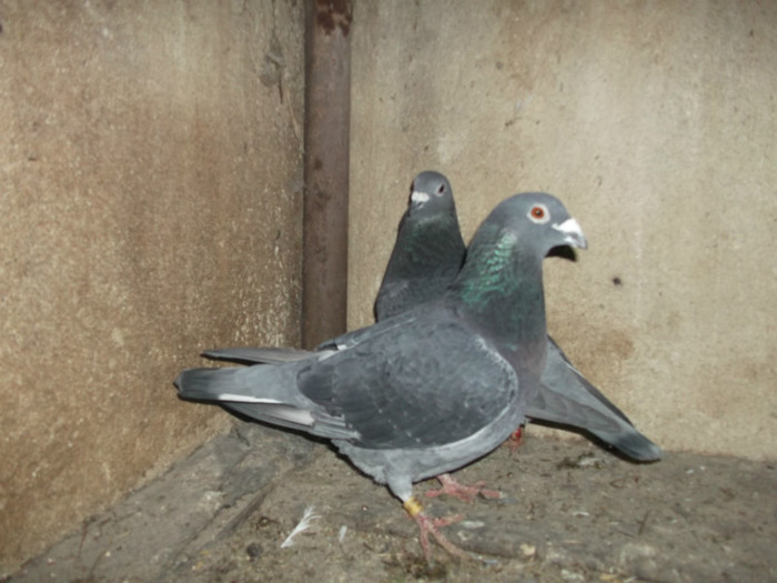 DSCF0628