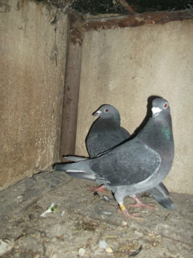 DSCF0629