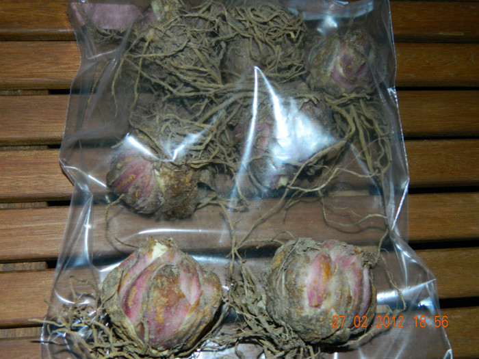 crini - de la Obi - 1,99 ron