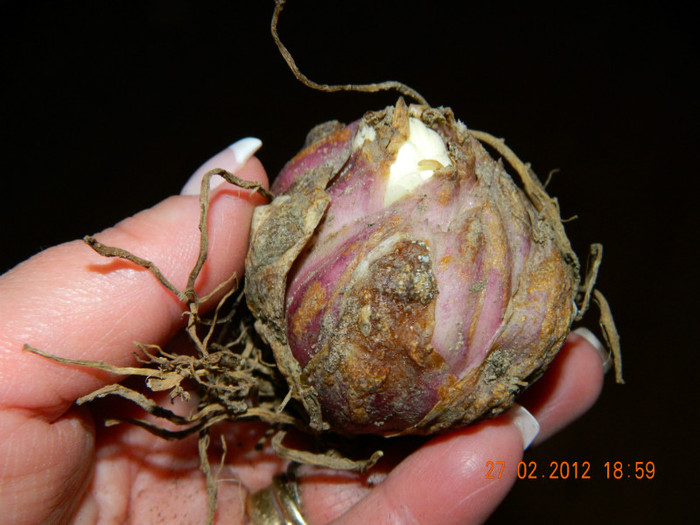 nu cred ca-i galben....asa cum era eticheta