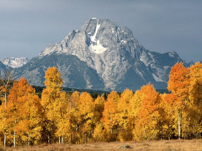 Mount Moran in Autumn, Wyom