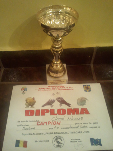 2012-02-26 18.37.41 - DIPLOME OBTINUTE