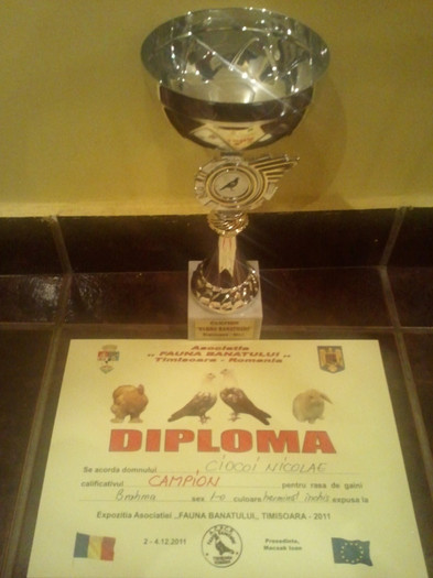 2012-02-26 18.39.56 - DIPLOME OBTINUTE