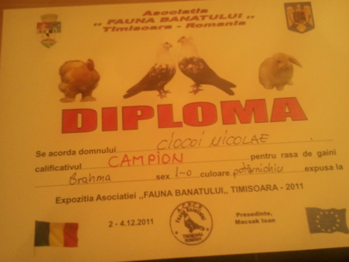 2012-02-26 18.50.48 - DIPLOME OBTINUTE