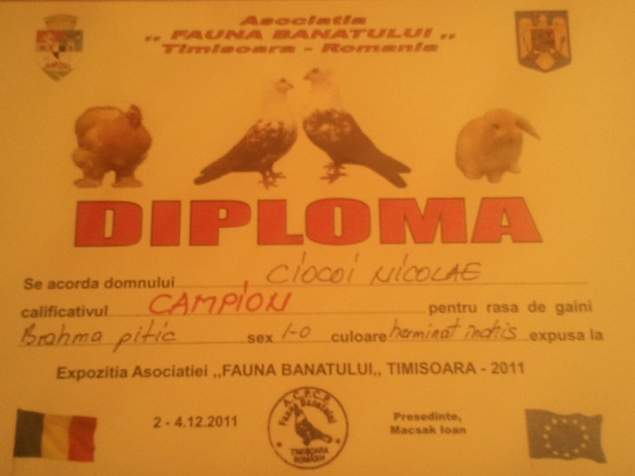 2012-02-26 18.51.37 - DIPLOME OBTINUTE