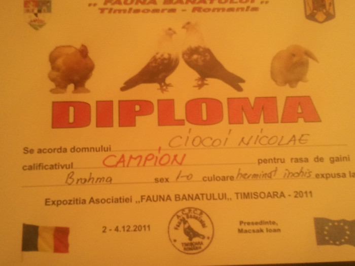 2012-02-26 18.52.05 - DIPLOME OBTINUTE