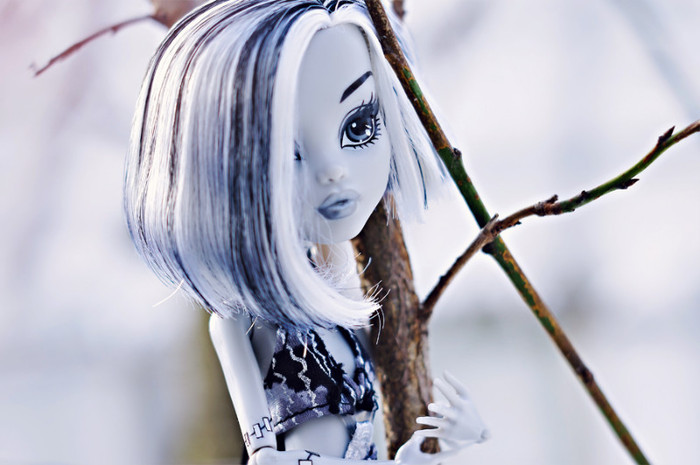 ss_frankie_by_roxannestein-d4r0md6