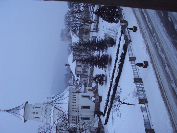 DSC04885 - poze zona campulung gemenea  2012