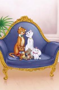 images (2) - pisicutele aristocrate