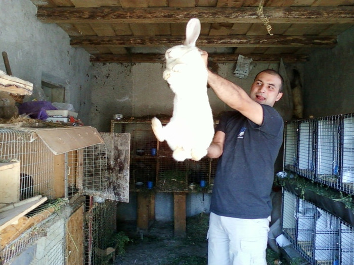 PRINTESA - o parte din iepurii din 2011