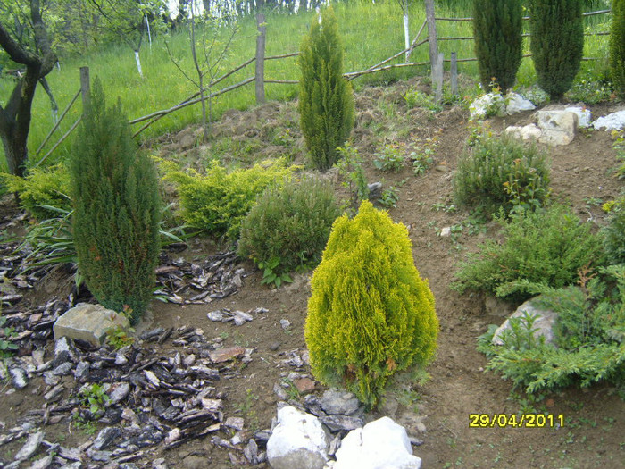 S1031677