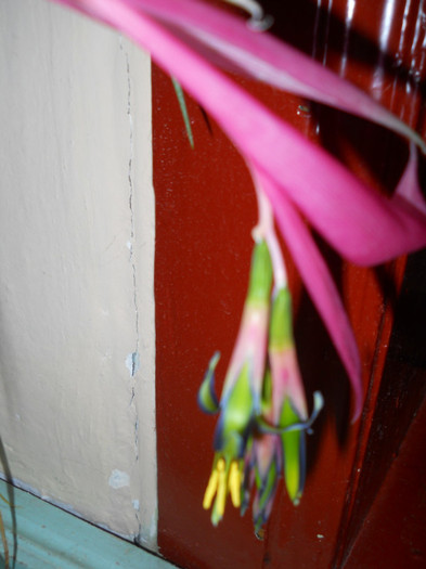 DSCN2324 - A15 toamna -iarna 2011-2012