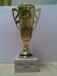 carei - trofee