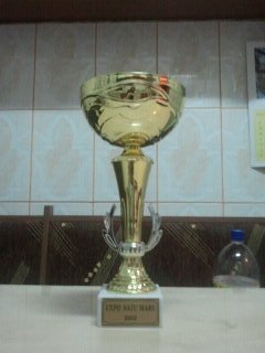 satu mare - trofee