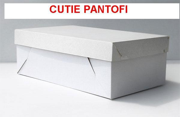 cutie-pantofi - cutie pantofi