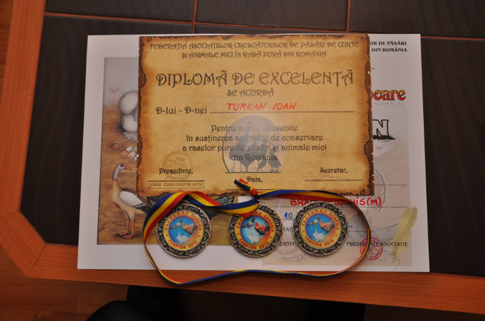 DSC_0630 - DIPLOME SI MEDALII 2012