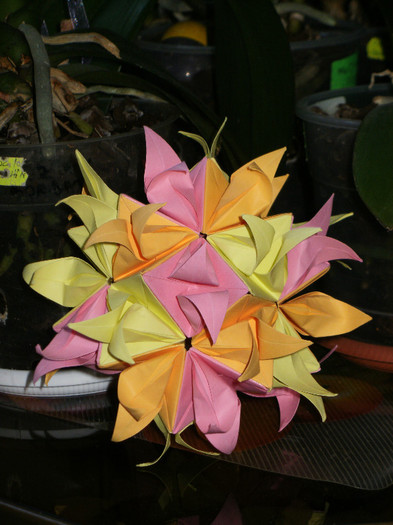 P5261287 - origami