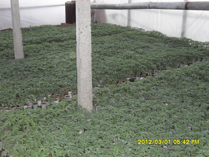 SDC12094