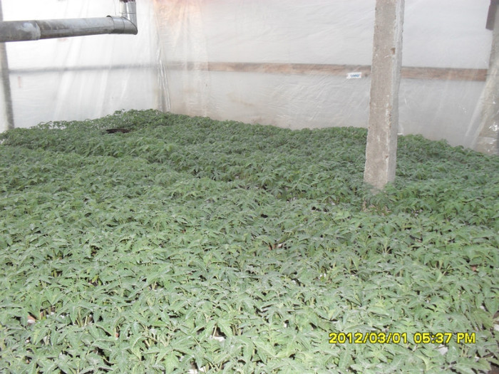 SDC12080 - solar 2012