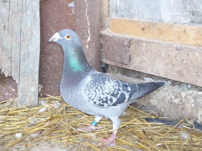 Photo0107