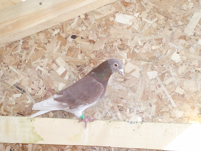Photo0126