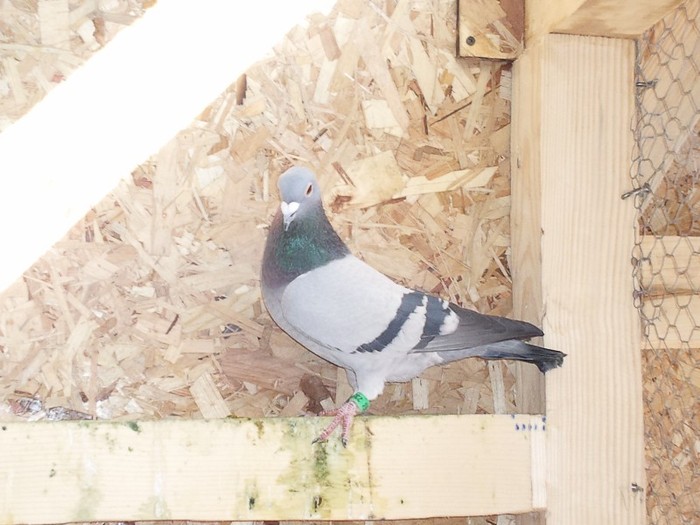 Photo0127
