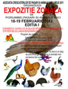 53124737_YSIANTR2 - A-Expozitia Zonala Ludus 2012