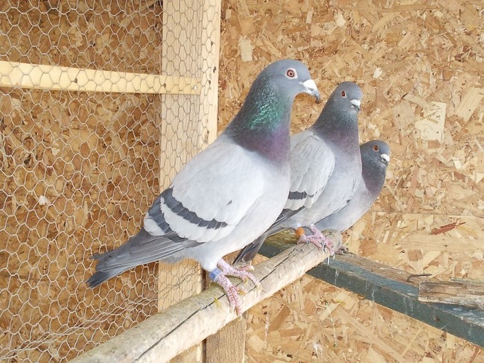 Photo0119