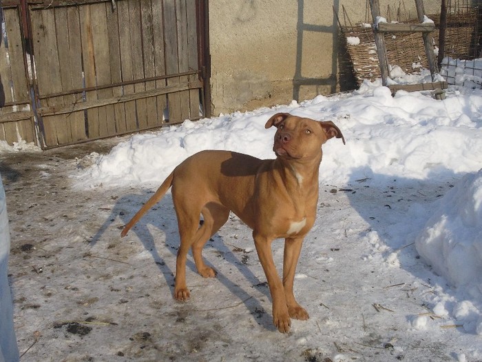 Photo0171