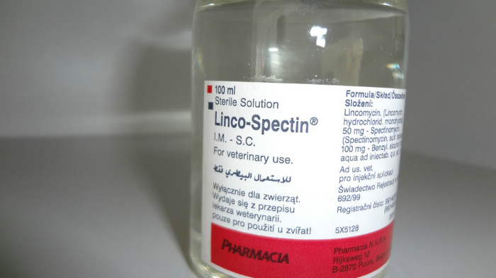 LINCO-SPECTIN - 09 MEDICAMENTE SI FURAJE