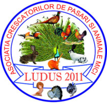 logo ACPAML2011