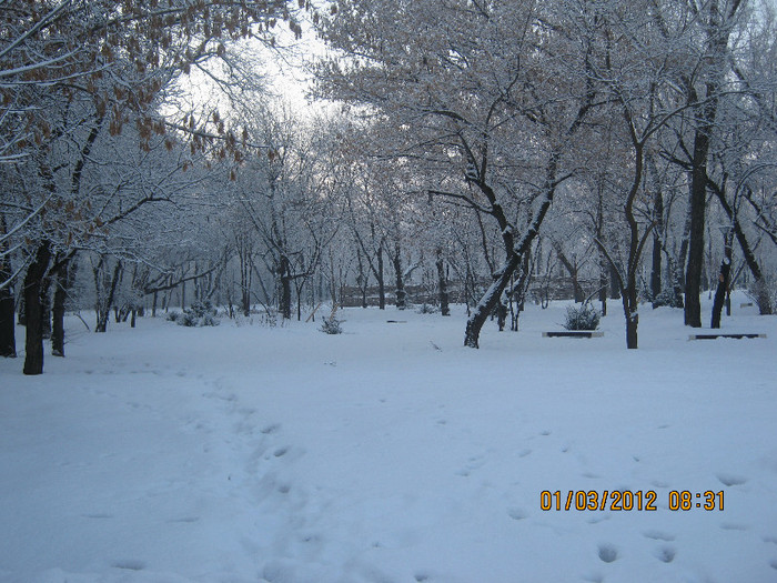 parcul operei sub zapada - bucuresti 2012