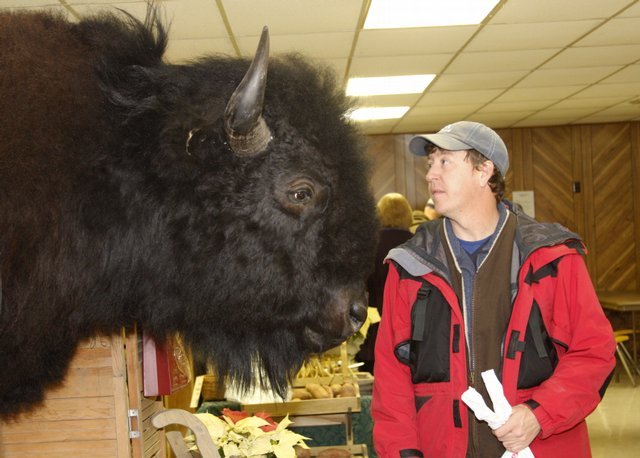 Un cap de bizon de 1,5 metri inaltime