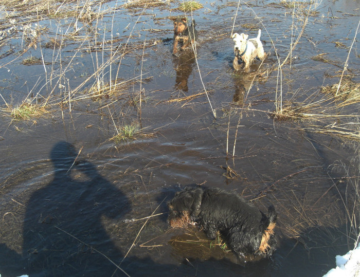 Demon, Radar si Oszi