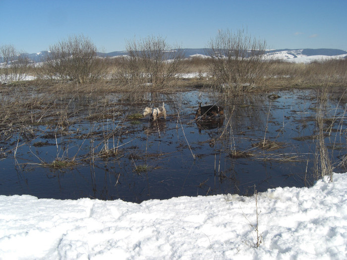Radar si Oszi - Radar