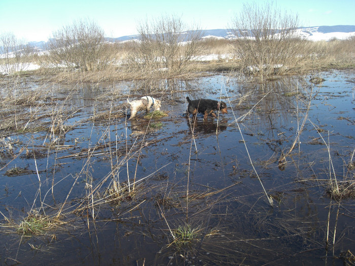 Radar si Oszi - Radar