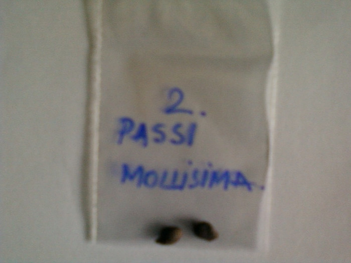 passi mollisima - multumesc dianadia