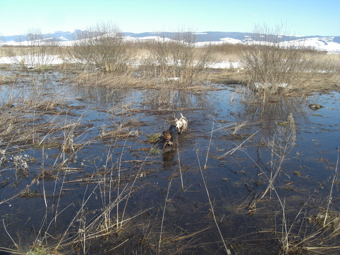 Radar si Oszi - Radar