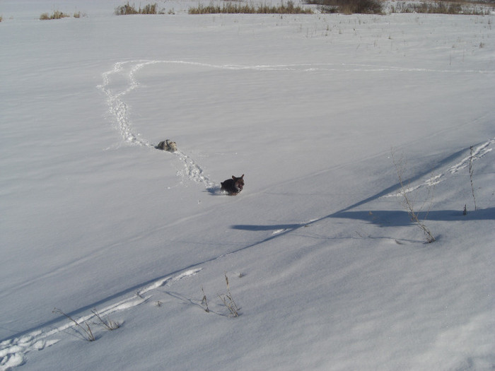 Radar si Oszi - Radar