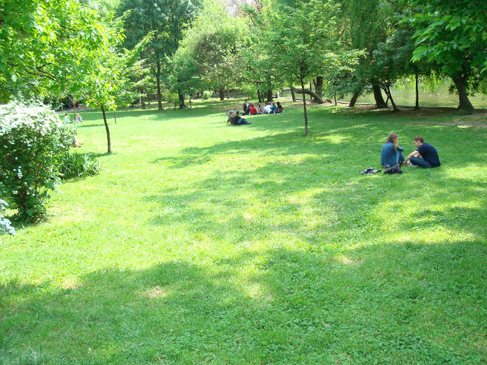 062 - PARCUL CISMIGIU BUCURESTI