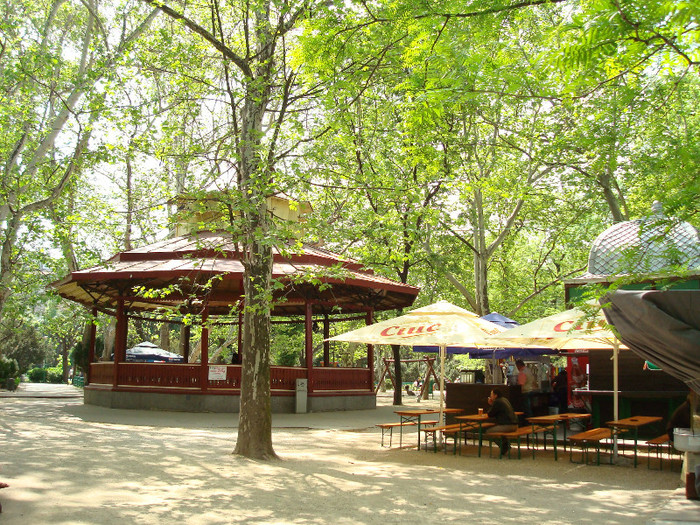 067 - PARCUL CISMIGIU BUCURESTI