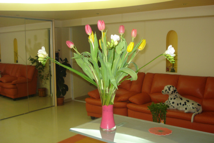 MULTUMESC CRISTI SI NANA DOINA