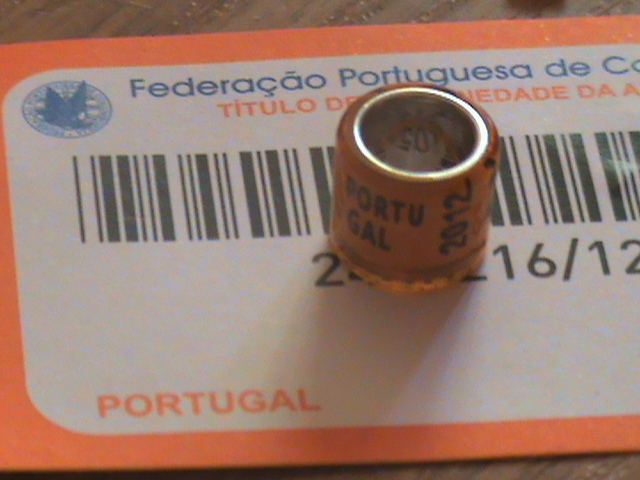 DSC03468 - Portugalia