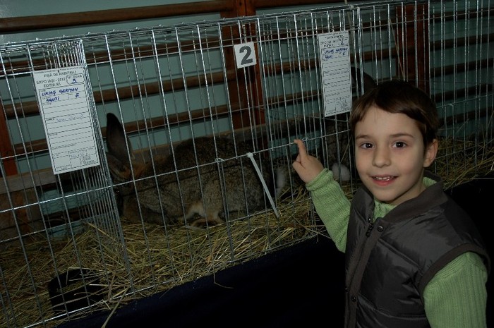 03 martie  2012 expo pasari (4)