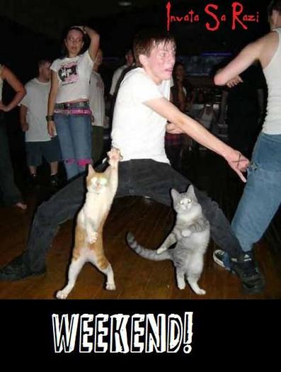 417268_358612844173722_347089048659435_1099378_479818458_n