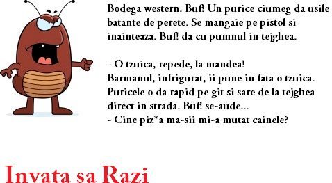 423048_367498369951836_347089048659435_1118942_654847306_n