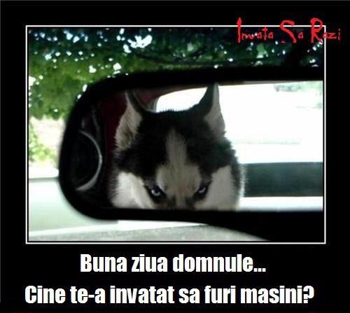 429352_358544397513900_347089048659435_1099267_41973652_n